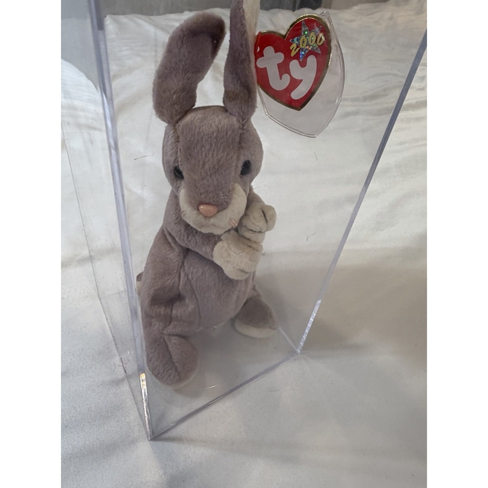 Ty Beanie Baby Springy Bunny 2000 Feb 29 Leap Day w/ Acrylic Display Case